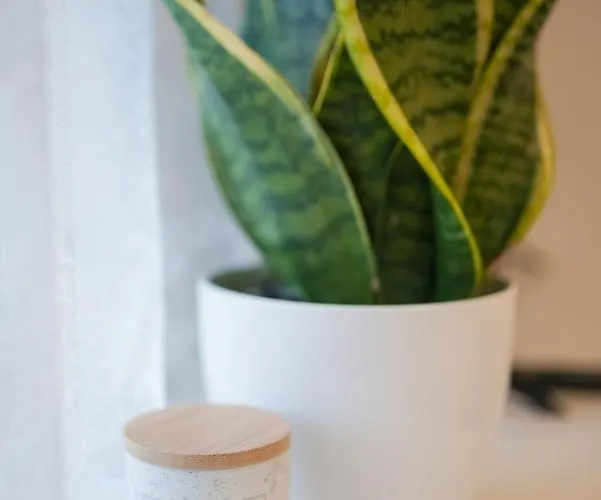 Lägenhet Break Split